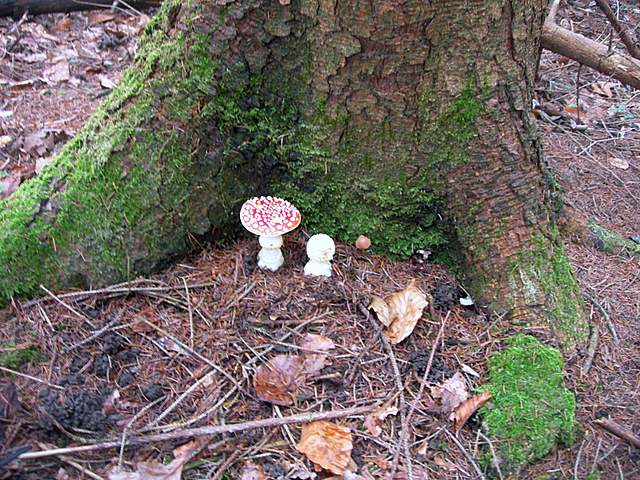 Prima  dell�era  glaciale